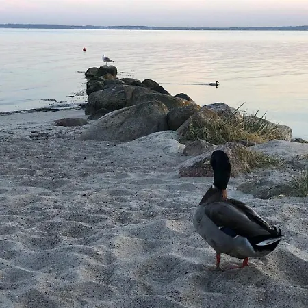 Ostseecamp Luebecker Bucht Casa Del Mar Mit Kostenfreier Saunanutzung شاربوتس